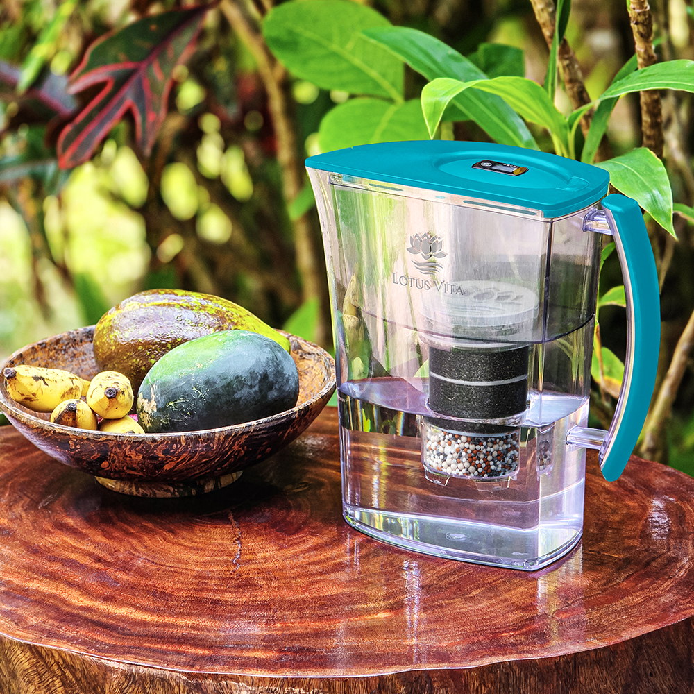 Eine aquamarinblaue Wasserfilterkanne von Lotus Vita steht auf einem Holztisch neben einer Schale mit frischem Obst in einer natürlichen Umgebung.