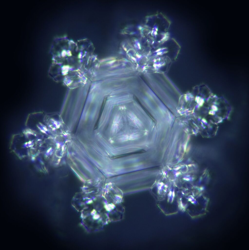 Wasserkristall von der Filterkanne ENYA mit der Filterkartusche Natura Plus